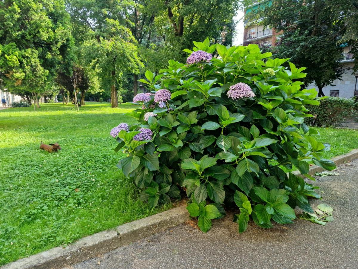 Giardino Sul Naviglio Leilighet Milano Eksteriør bilde